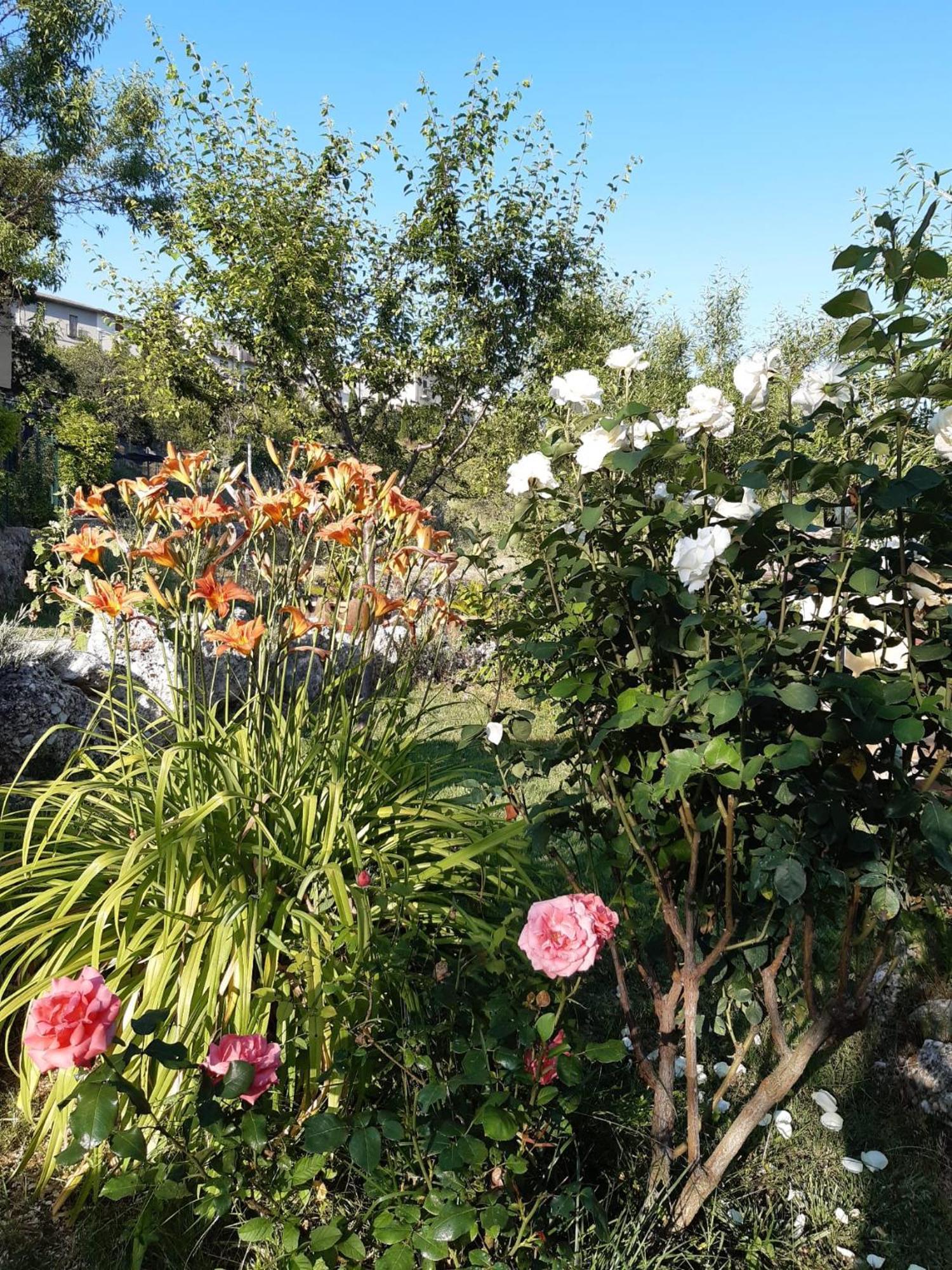 Il Girasole Bed and Breakfast Castelvecchio Calvisio Eksteriør billede